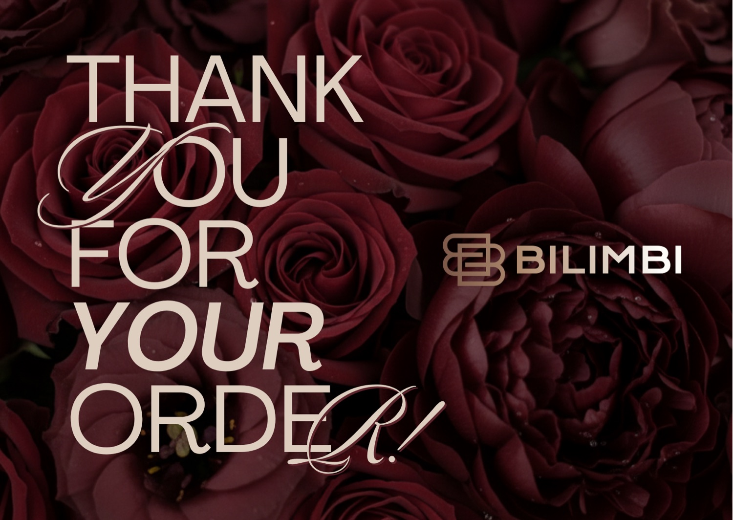 Bilimbi 1